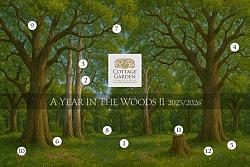 Cottage Garden Samplings - A Year in the Woods II - #01 COMING SOON!-