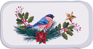 Just Nan - Merry Star Bird Bead Hide Tin-Just Nan - Merry Star Bird Bead Hide Tin, notions, supplies, needles, beads, cross stitch 